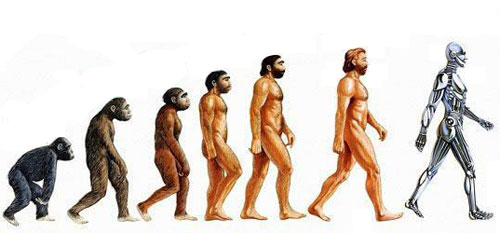 dibujo-evolucion-del-hombre-desde-el-mono